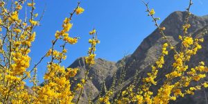 Mendoza Argentina