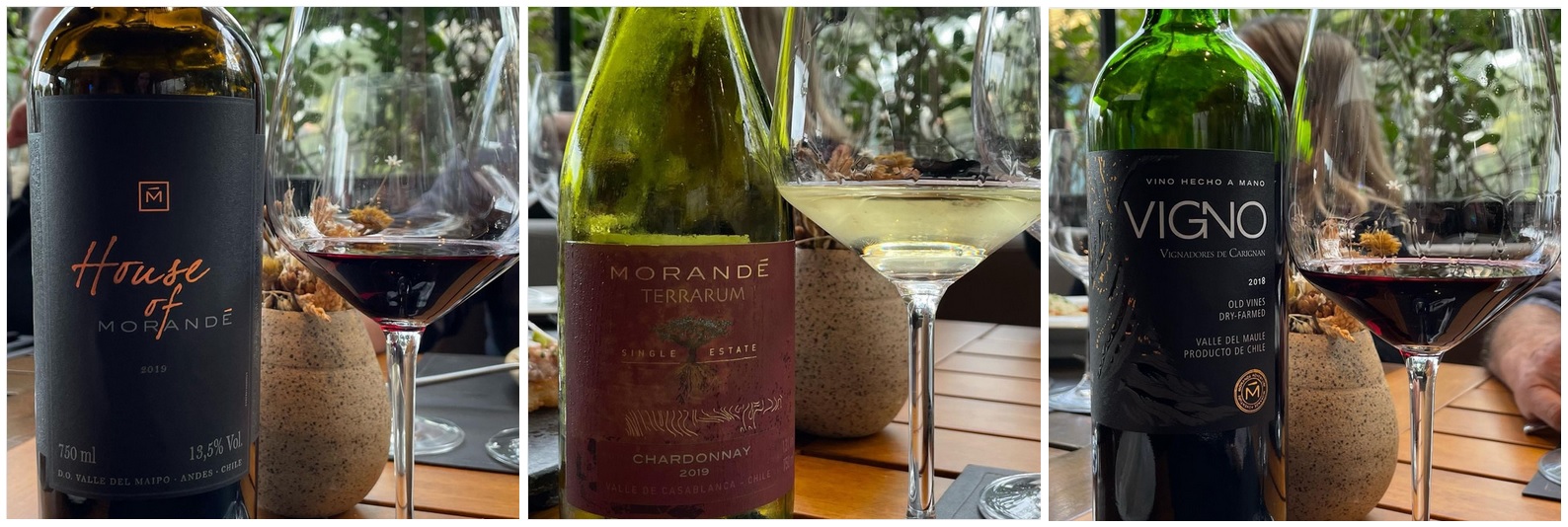 House of Morandé 2019 GastroRosé